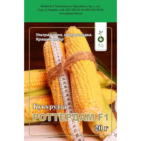 Кукурудза Роттердам F1