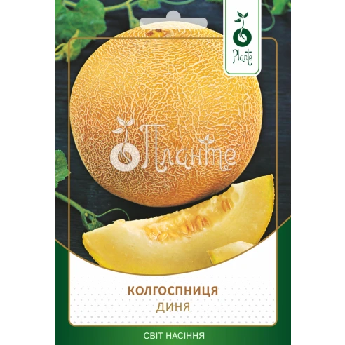 Диня "Колгоспниця"