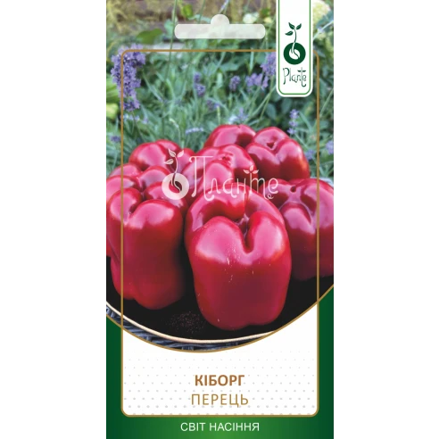 Перець Кіборг