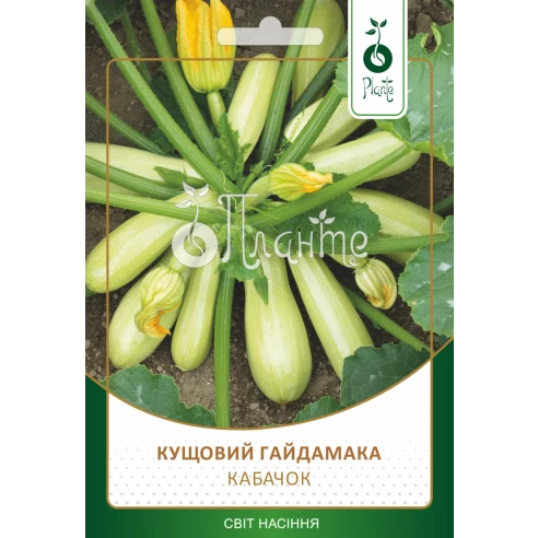 Кабачок "Кущовий гайдамака"