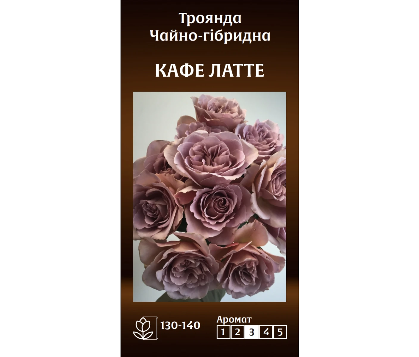 Знімок екрана 2025-03-18 083916