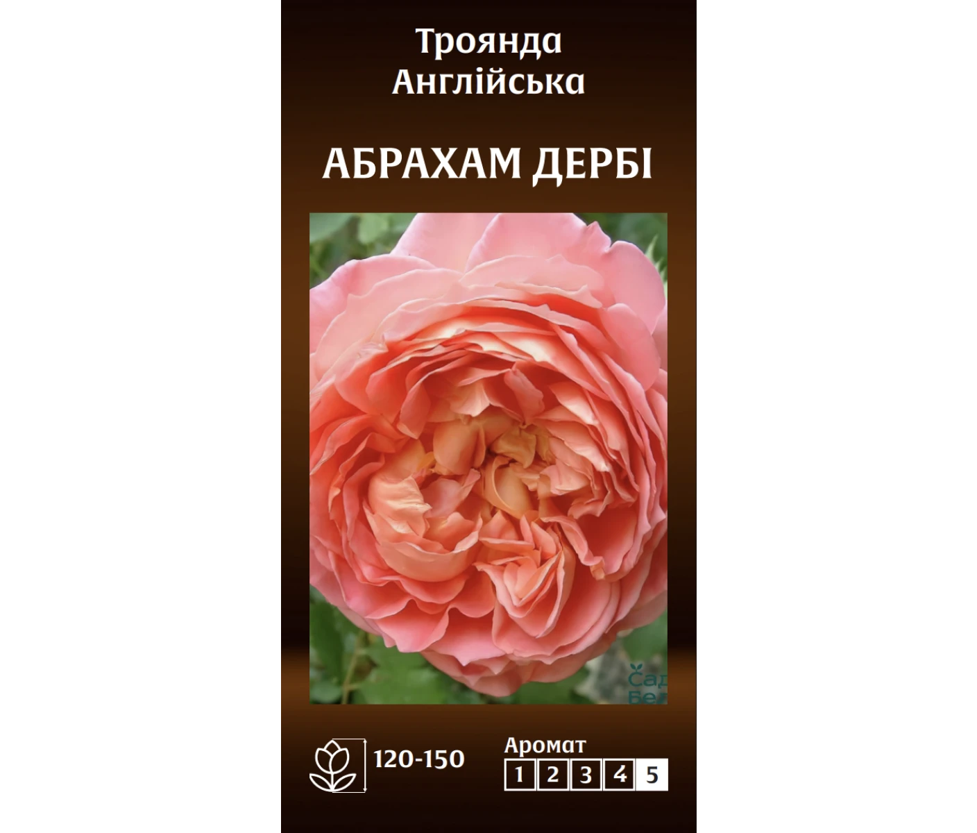 Знімок екрана 2025-03-18 094154