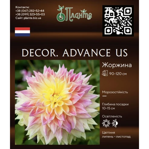 Decor. Advance US