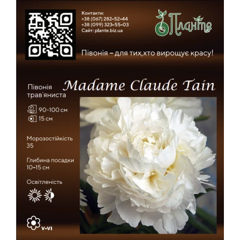 Madame Claude Tain 3/5