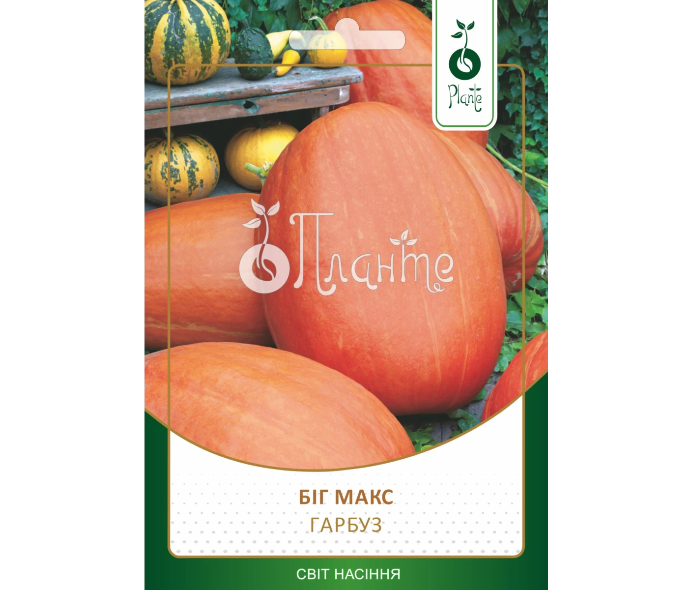 Гарбуз Біг Макс 8г