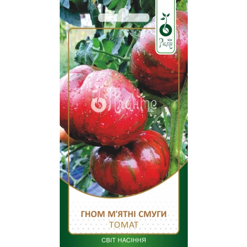 Томат Гном М'ятні Смуги