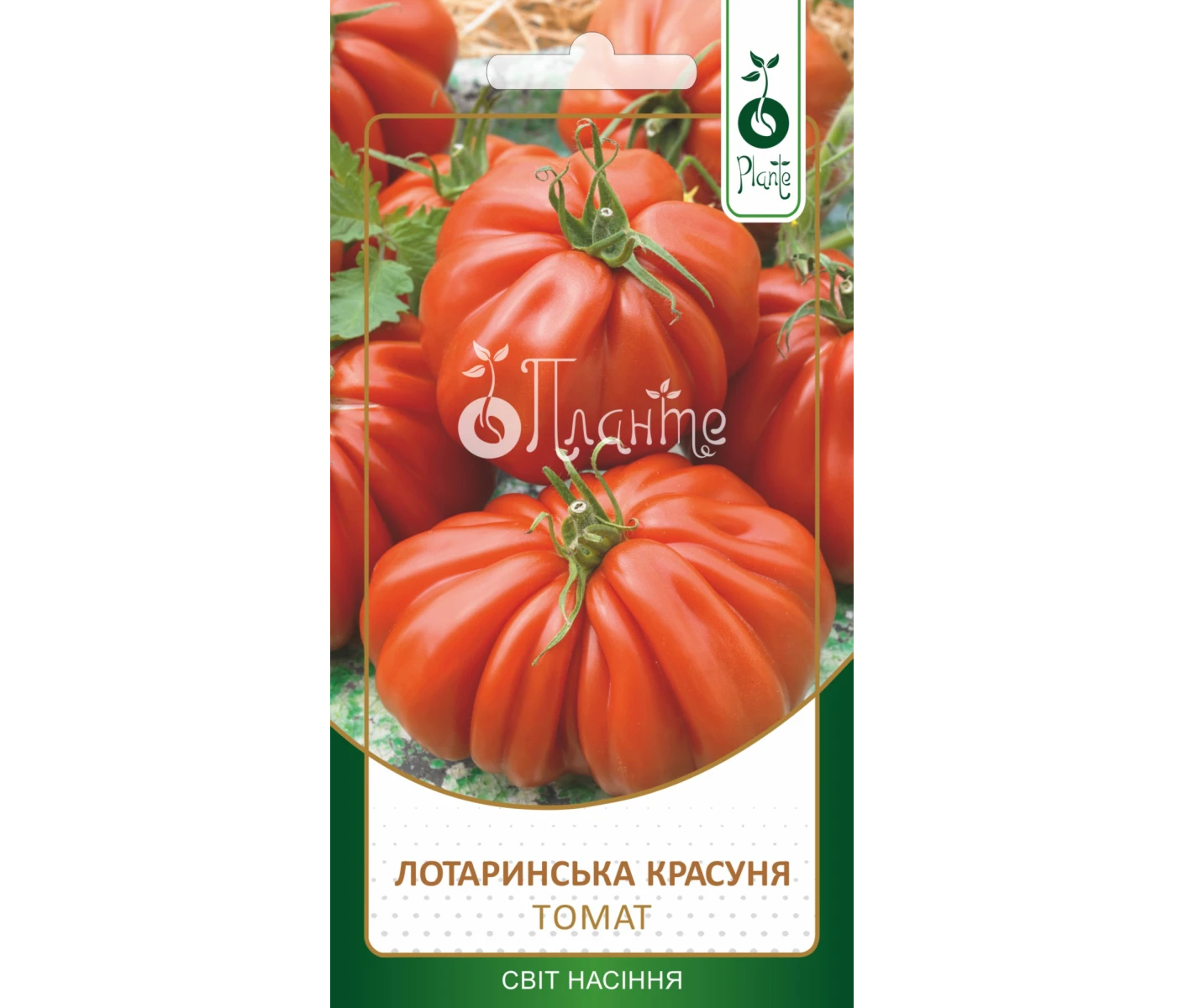 6518bb6f-c8aa-4ea2-af48-e0b6a9e7b2e0