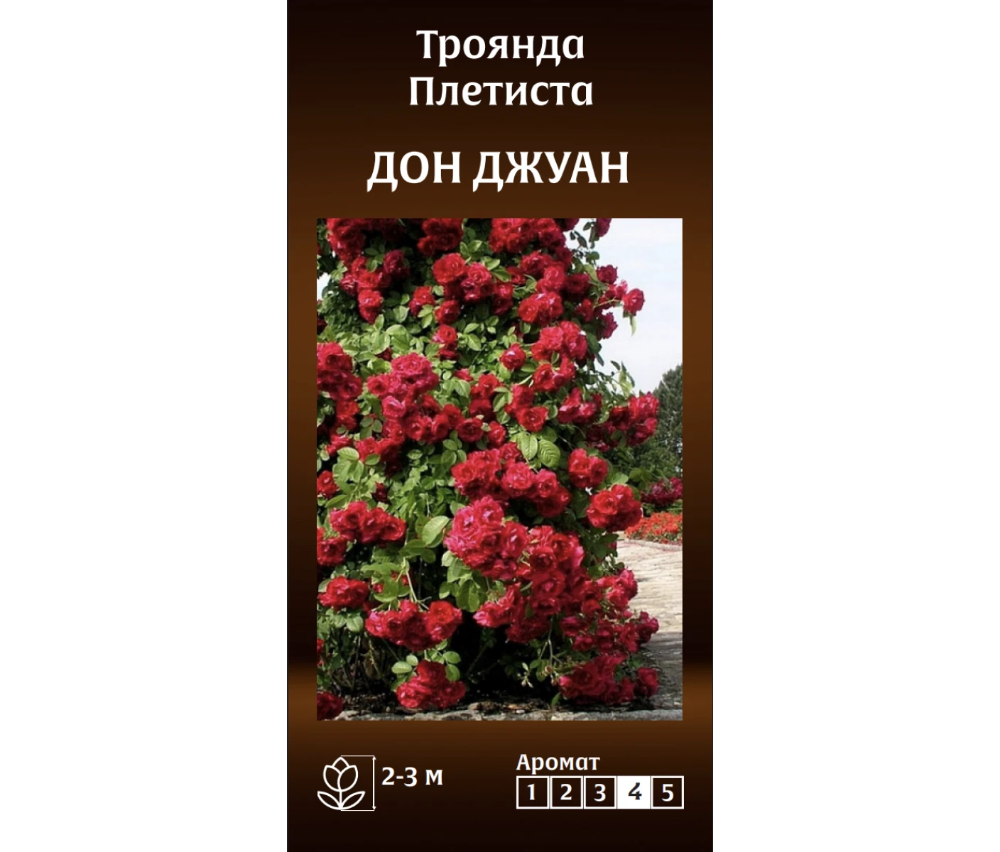 Знімок екрана 2025-03-18 092849
