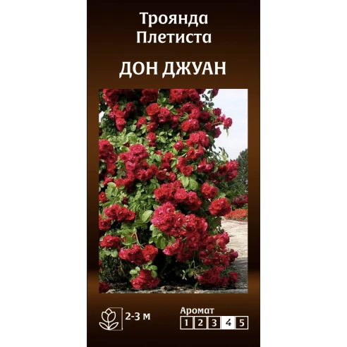 Плетиста Дон Джуан