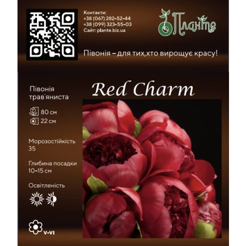 Red Charm 3/5