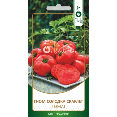Томат Гном Солодка Скарлет
