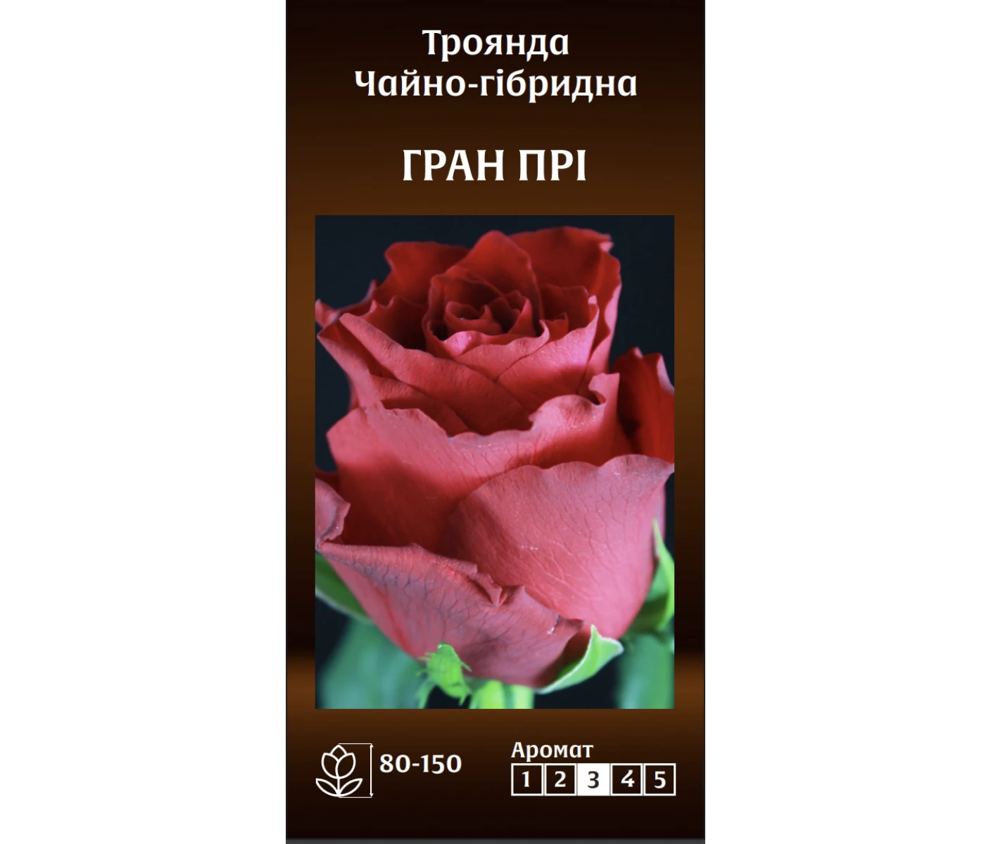 Знімок екрана 2025-03-18 084843