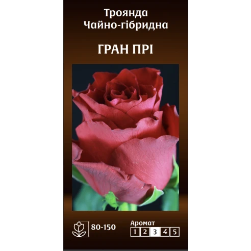 Чайно-Гібридна Гран Прі