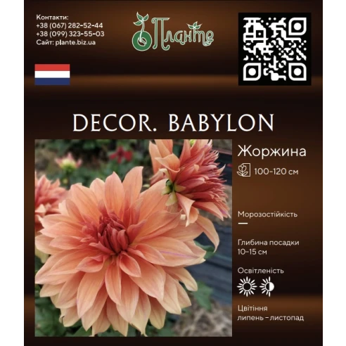 Decor. Babylon