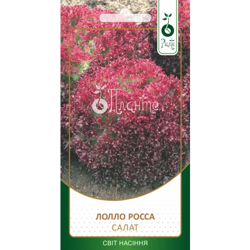 Салат "Лоло Росса"