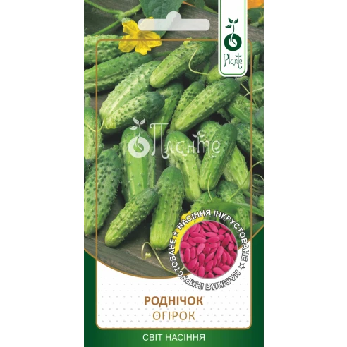 Огірок "Роднічок" (Інкрустоване)
