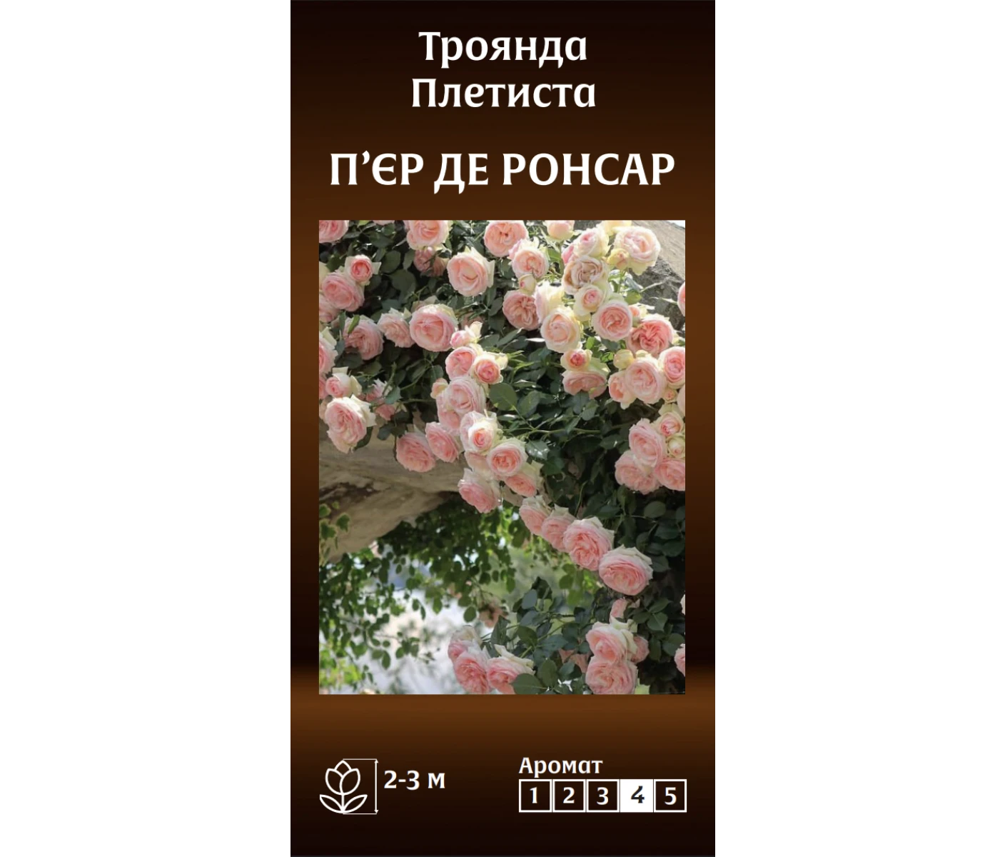 Знімок екрана 2025-03-18 092556