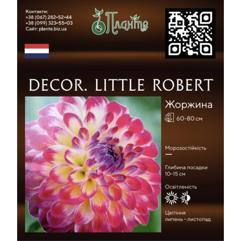 Decor. Little Robert