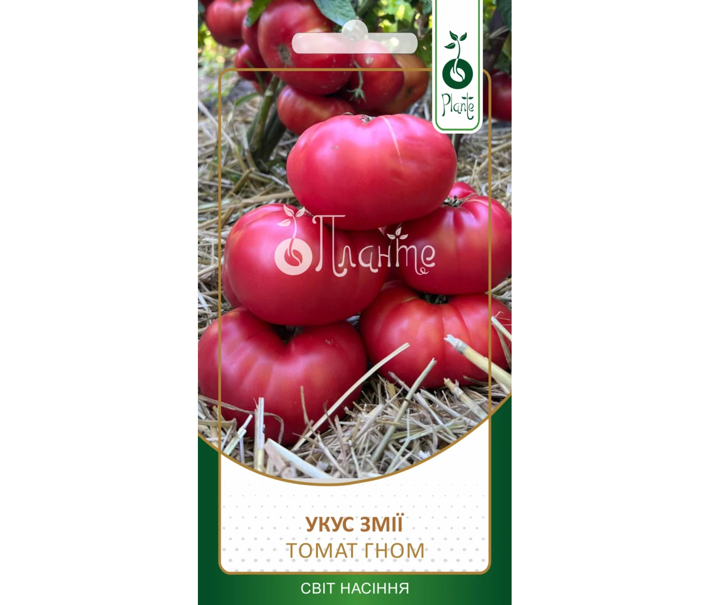 c1a4cb58-2b60-4920-9fd6-bd471a84d8e7