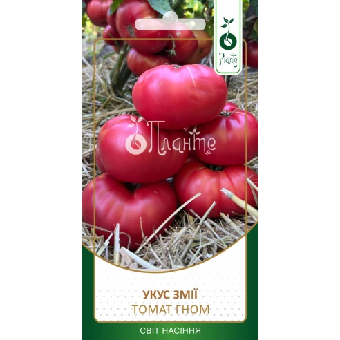 Томат Гном Укус Змії