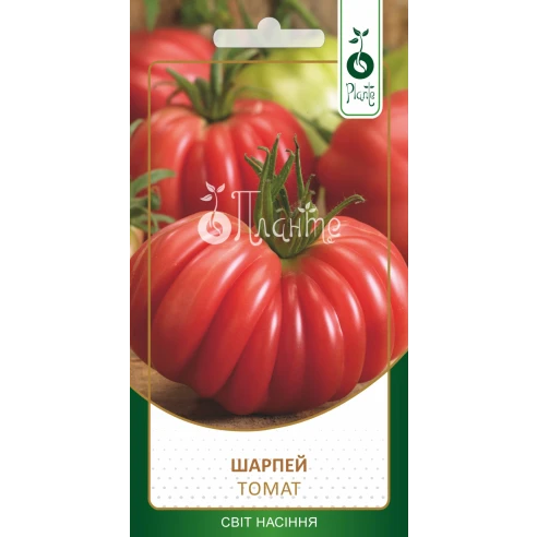 Томат "Шарпей"