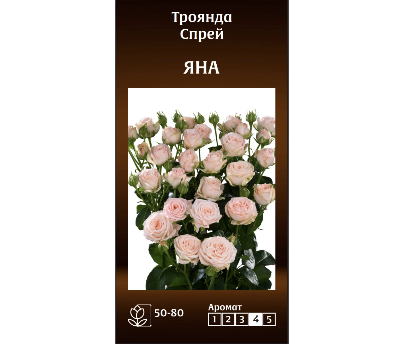 Знімок екрана 2025-03-18 090931