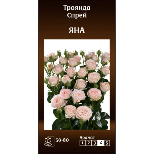 Спрей Яна