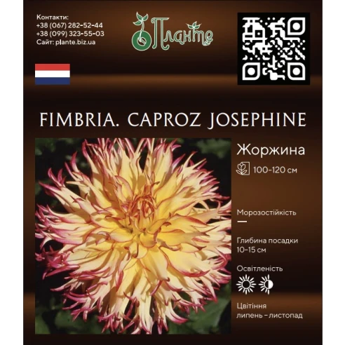 Fimbria. Caproz Josephine