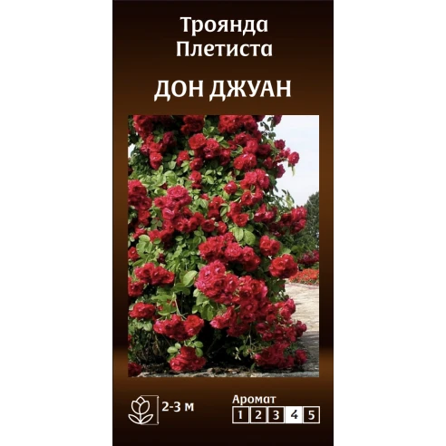 Плетиста Дон Джуан
