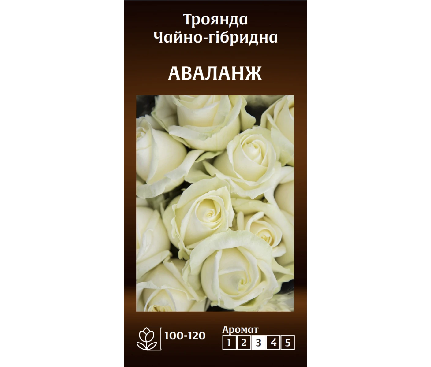 Знімок екрана 2025-03-18 085612