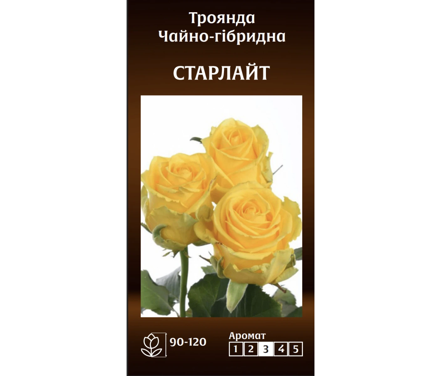 Знімок екрана 2025-03-18 081114