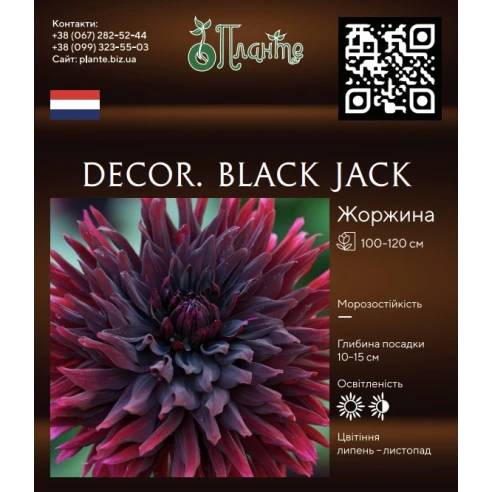 Decor. Black jack