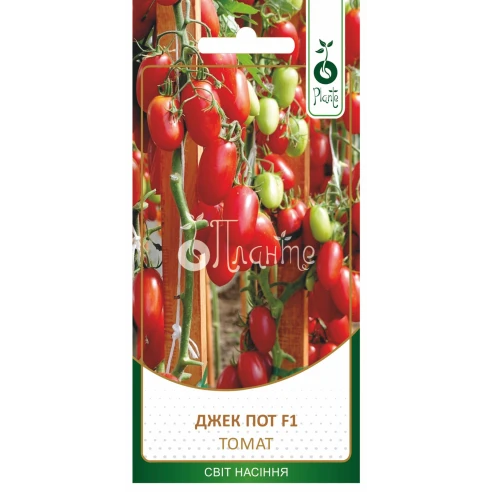 Томат Джек Пот