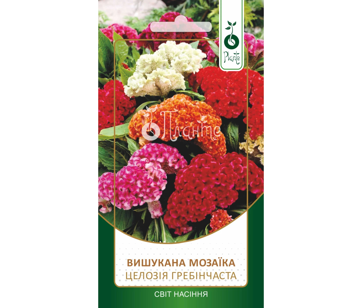 f78792b2-4171-446f-b3e2-af99e7424450