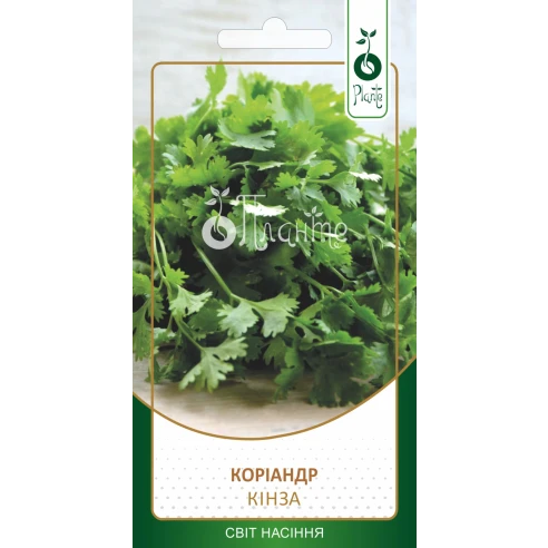 Кінза "Коріандр"