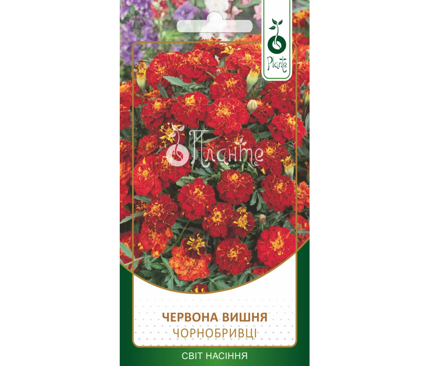 Чорнобривці Червона вишня 0,3г