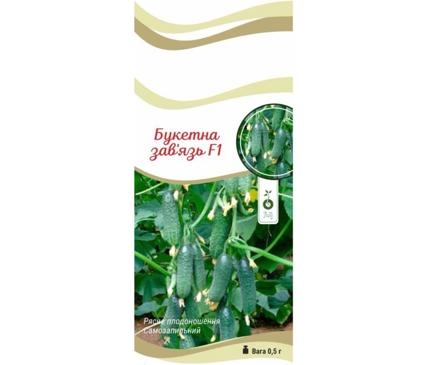 3e91c271-1e1e-4d04-9860-523676980a34