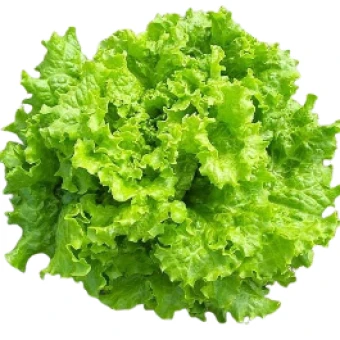 Салат (малий європакет)