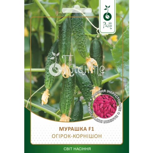 Огірок-корнішон "Мурашка" F1