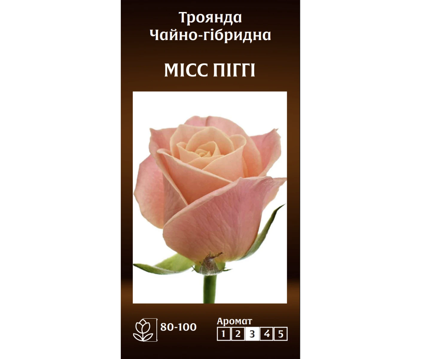 Знімок екрана 2025-03-18 083611
