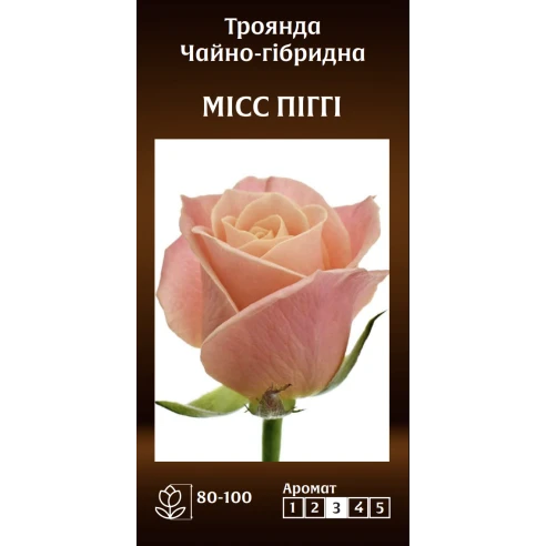 Чайно-Гібридна О Бейд