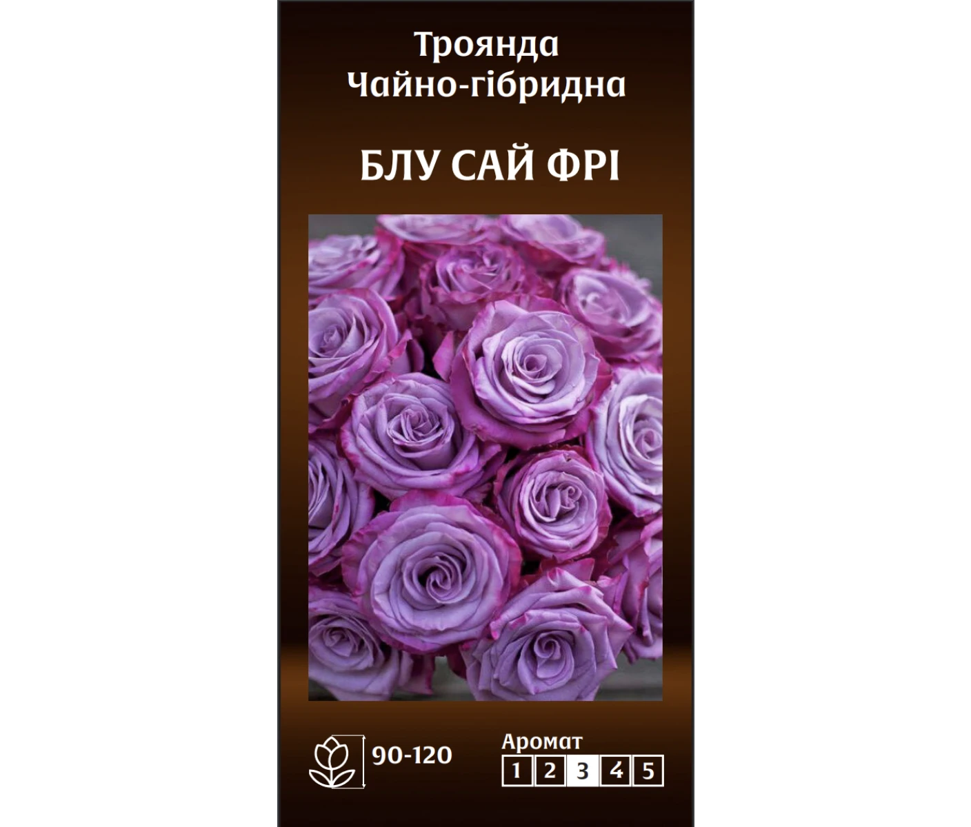 Знімок екрана 2025-03-18 085249