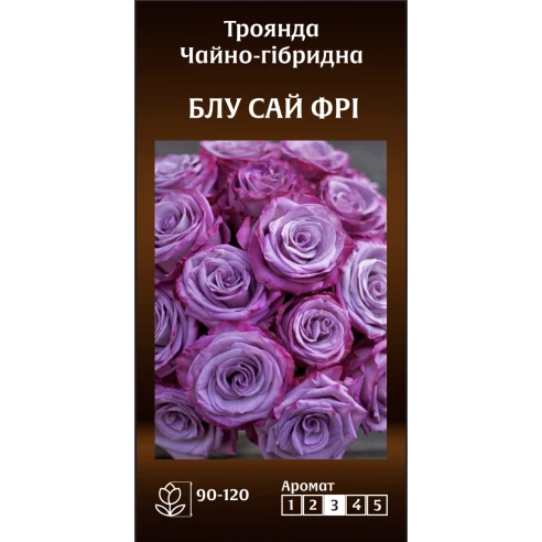 Чайно-Гібридна Блу Сай Фрі
