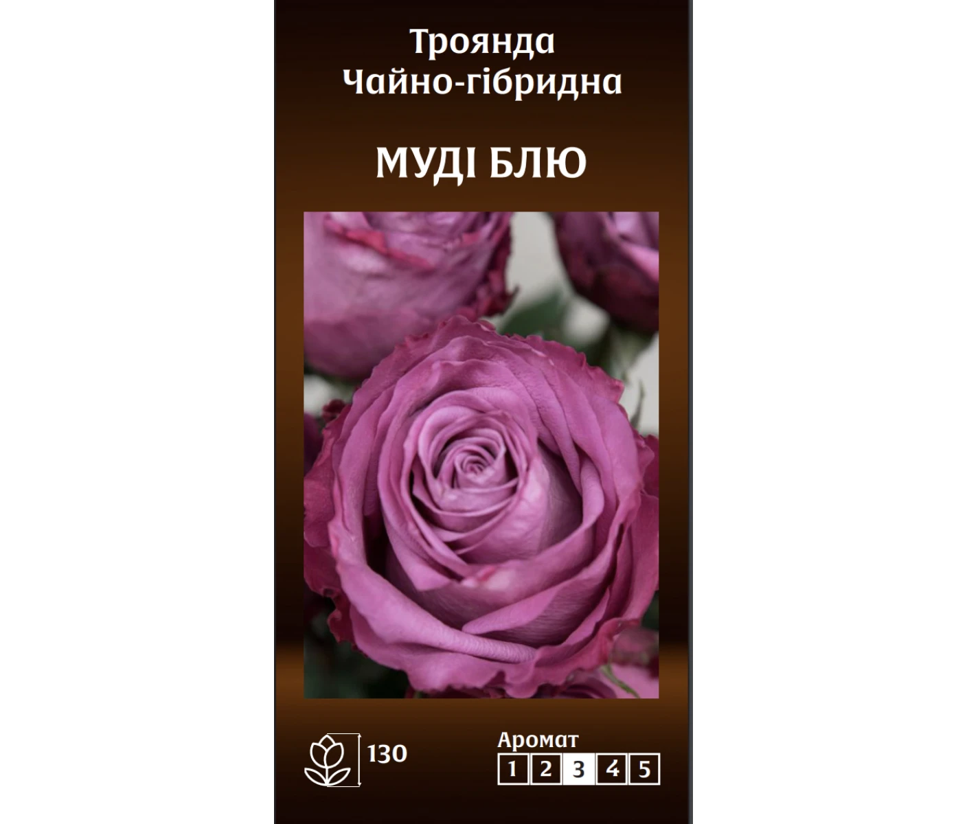 Знімок екрана 2025-03-18 083053
