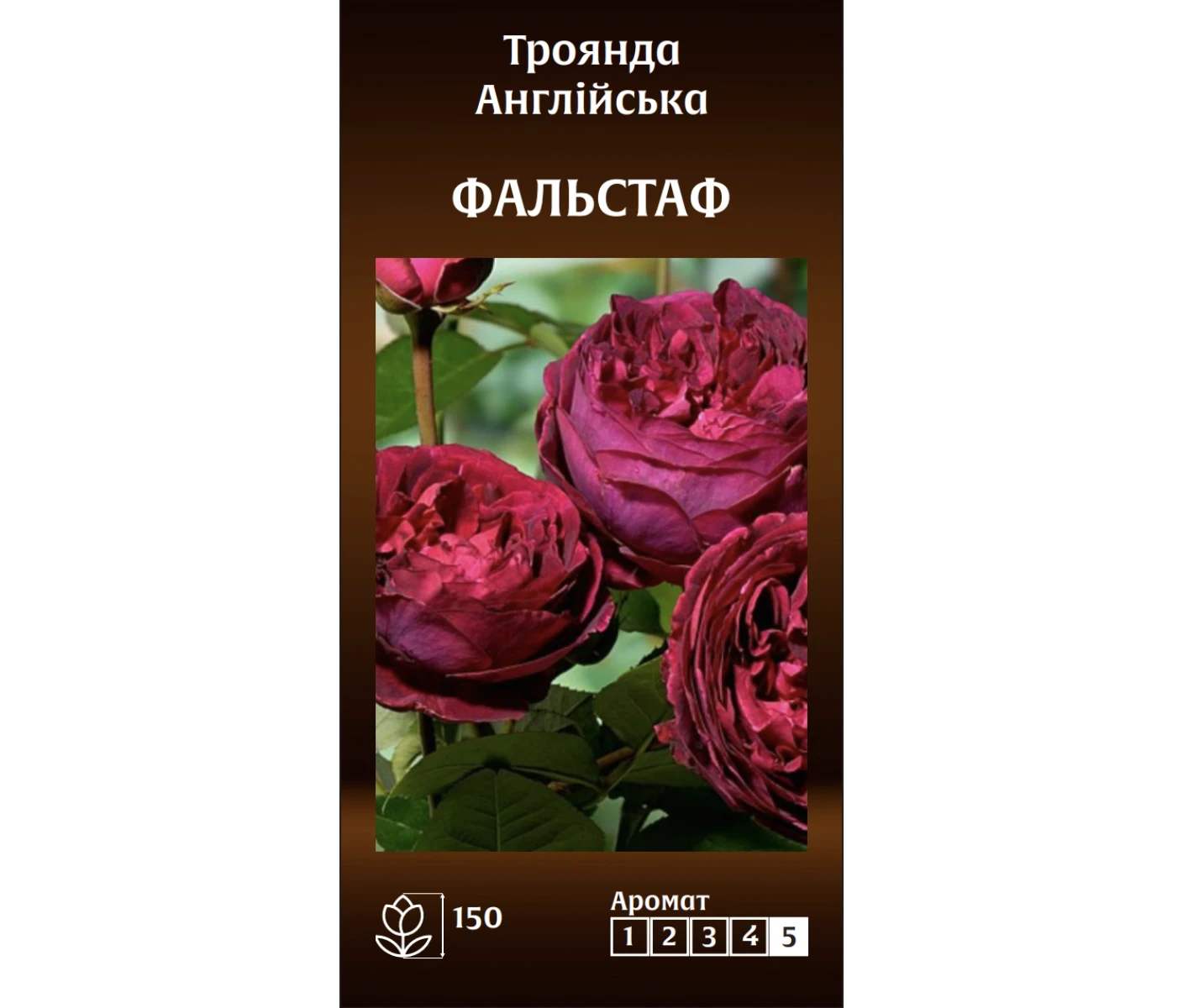 Знімок екрана 2025-03-18 093409