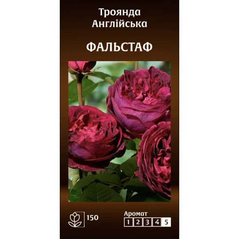 Англійська Фальстаф