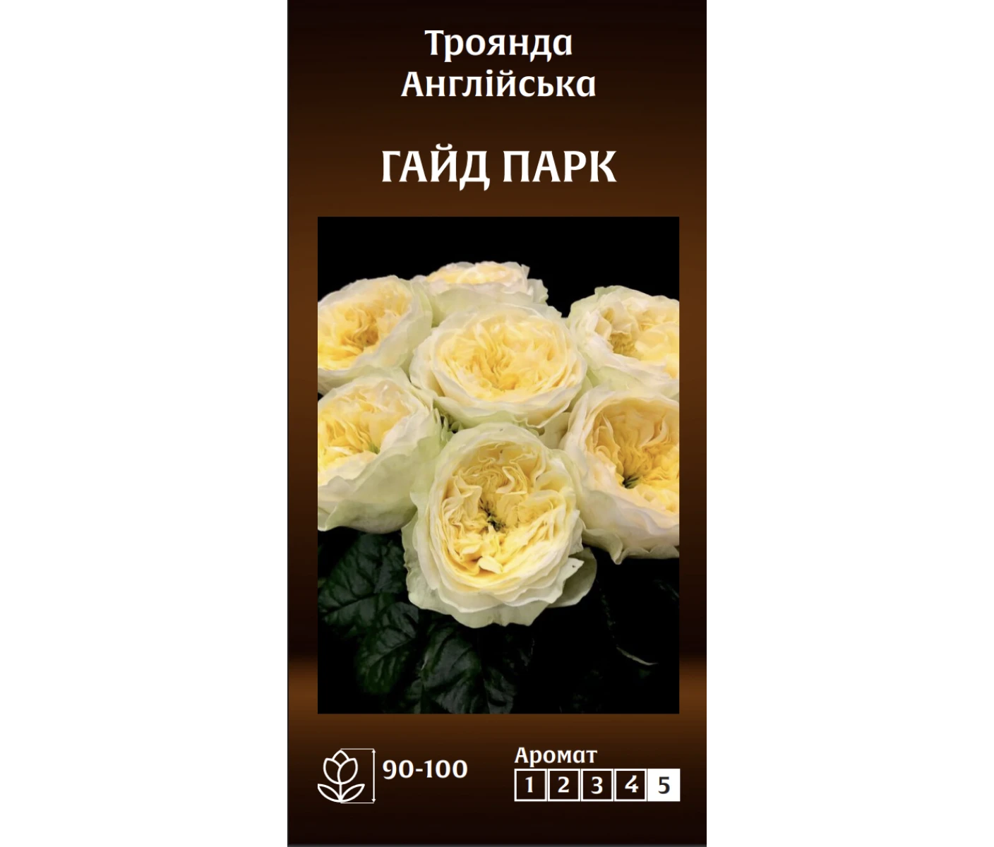 Знімок екрана 2025-03-18 093851
