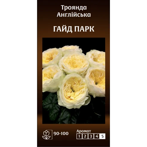 Англійська Гайд Парк